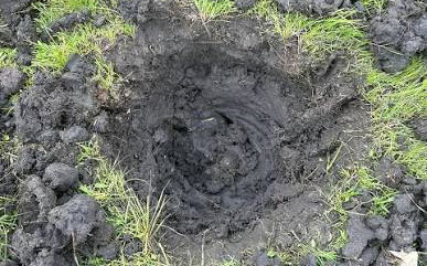 Cracked black clay soil typical of North Texas yards